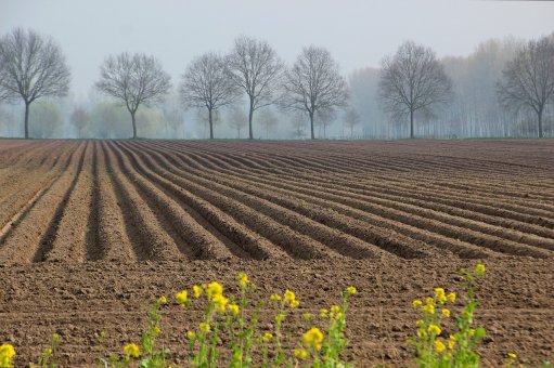 Pôda ako nástroj politického boja