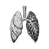 Cesta pacienta s karcinómom pľúc