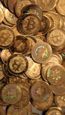 Rok Bitcoinu, alebo rok kryptomien?