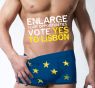 Írske referendum