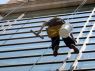 180 tisíc podnikateľov si uplatnilo paušálne výdavky (Rádio Expres)