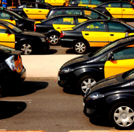 Zakážme Uber, zapriahnime kone a vráťme sa na stromy