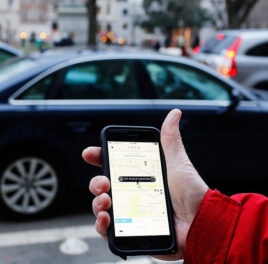 Let’s Ban Uber and Live in the Trees