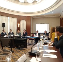 INESS na Healthcare roundtable