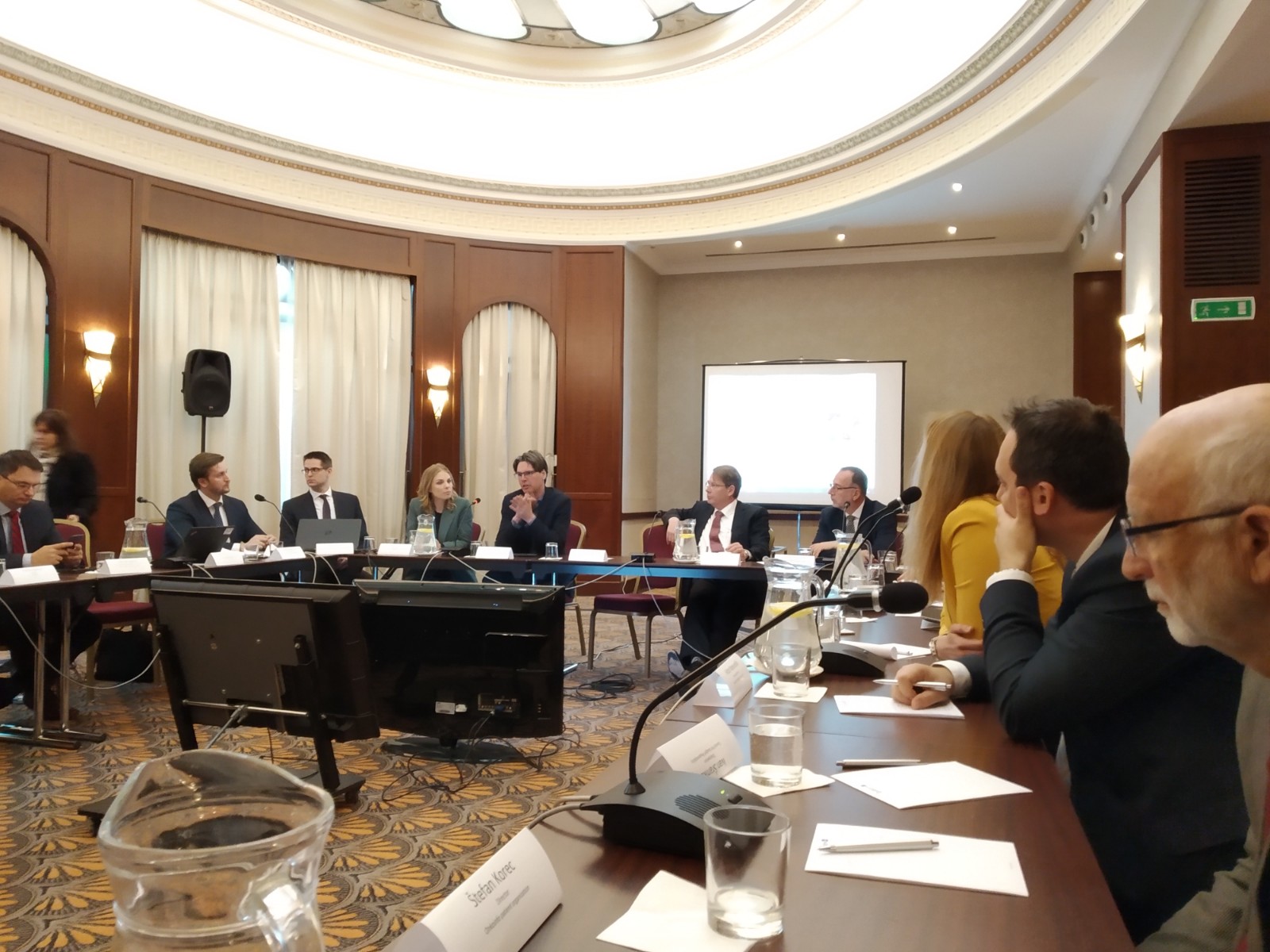 INESS na Healthcare roundtable