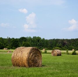 Hodnotenie volebných programov – pôdohospodárstvo