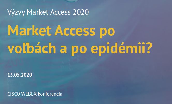 INESS na online workshope Market Access