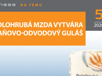 Polohrubá mzda vytvára daňovo-odvodový guláš