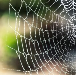 Rozpočet na zdravotníctvo v pasci hodnoty za peniaze