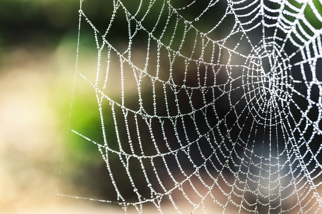 Rozpočet na zdravotníctvo v pasci hodnoty za peniaze