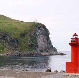 Lighthouse: The Most Thrilling Case in Economics