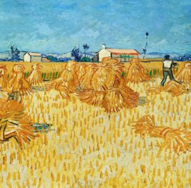 Real Solutions Instead of Self-Sufficiency for Slovak Agriculture