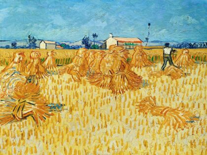 Real Solutions Instead of Self-Sufficiency for Slovak Agriculture