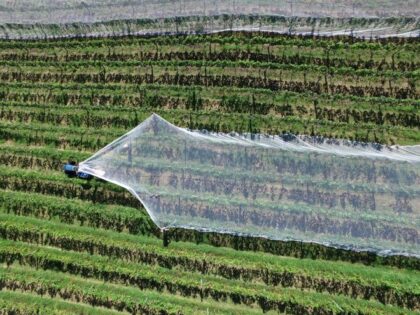 Poľnohospodárstvo novej generácie patrí inovátorom, nie politikom