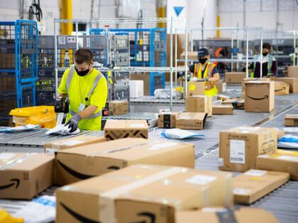 Will be efficiency a curse in the EU
