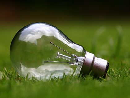 Green Deal Ambitions May Hinder Its Implementation