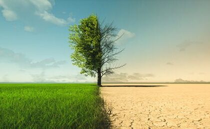 Rastú škody vyvolané klimatickou zmenou?