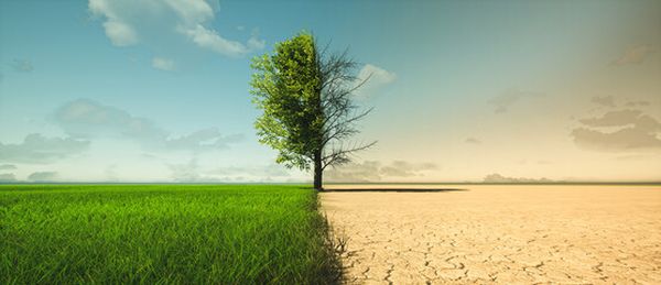 Rastú škody vyvolané klimatickou zmenou?