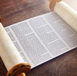 Sola scriptura a konkurenčný boj o dušu vyústil v pandémiu gramotnosti