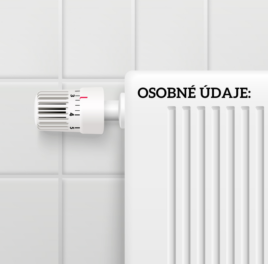 Energetická pomoc nie je ľudským právom. Štát zvolil najhorší možný spôsob