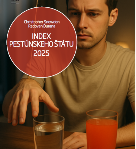 Index pestúnskeho štátu 2025