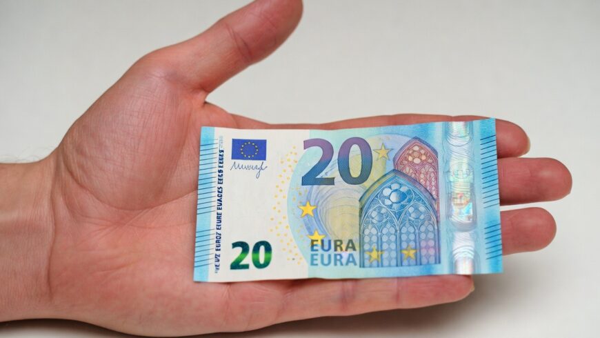 Healthcare Fees in Slovakia: Supply and Demand