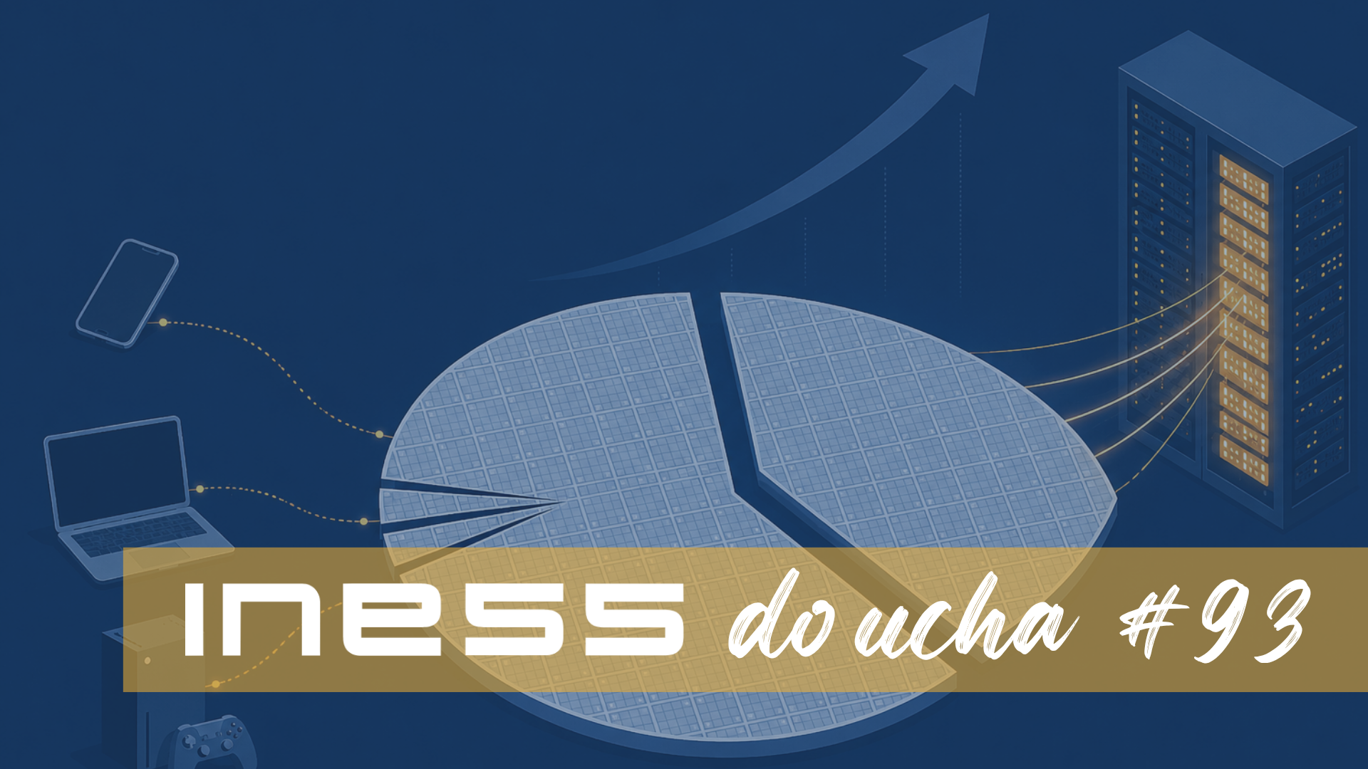 INESS do UCHA #93: Čipflácia